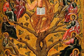 Week of Prayer for Christian Unity - Day Seven: Mr.  Simon Billington reflects on the verse "I am the vine, you are the branches" (Jn 15:5a)